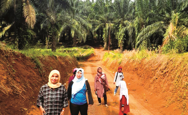 Dukung Pekerja Perempuan di Perkebunan Sawit, Untuk Hasil Lebih Baik